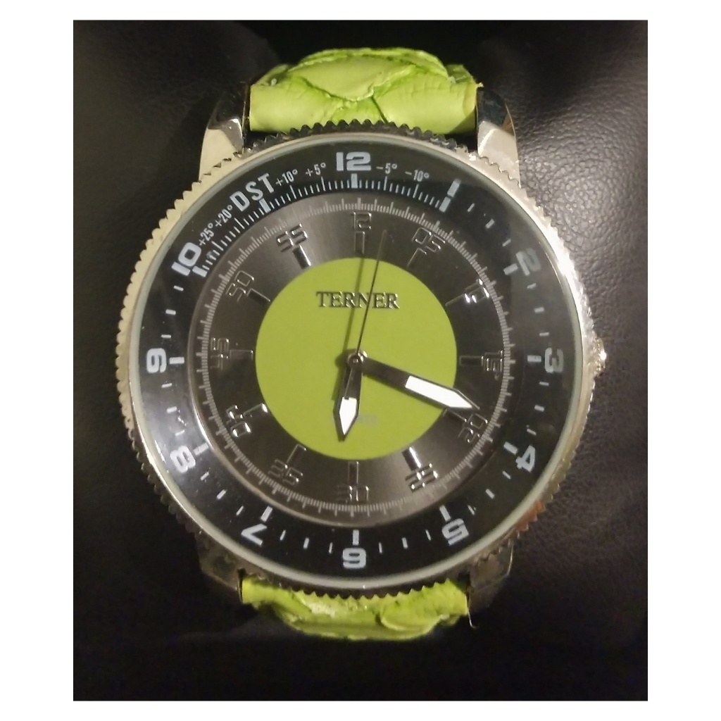 Terner Watch